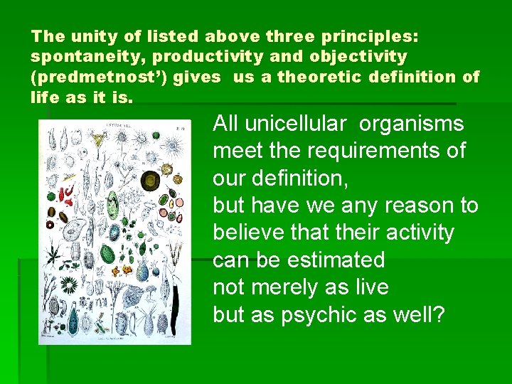The unity of listed above three principles: spontaneity, productivity and objectivity (predmetnost’) gives us