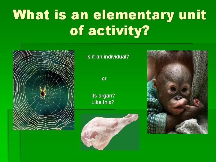 What is an elementary unit of activity? Is it an individual? or its organ?