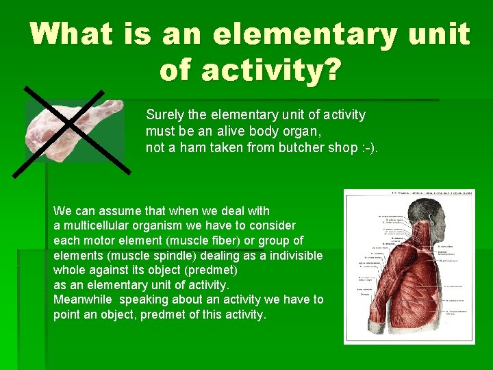 What is an elementary unit of activity? Surely the elementary unit of activity must