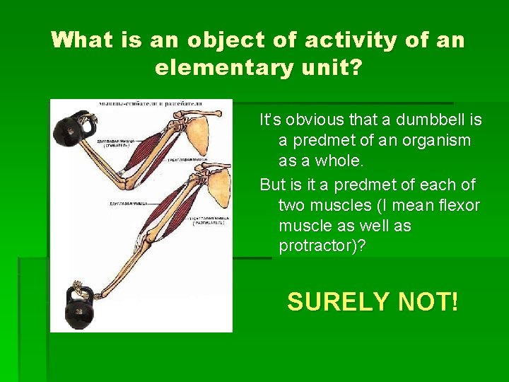 What is an object of activity of an elementary unit? It’s obvious that a
