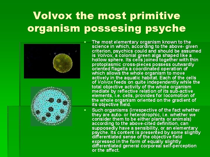 Volvox the most primitive organism possesing psyche § § The most elementary organism known
