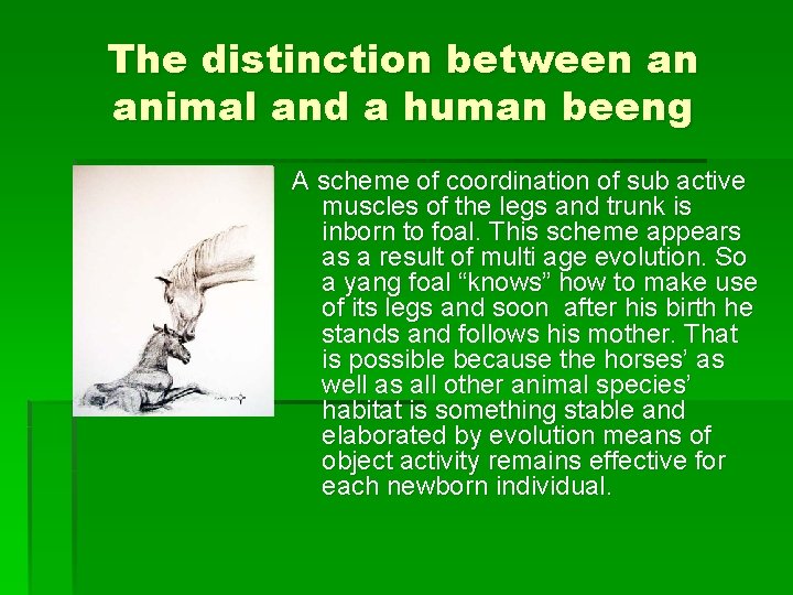 The distinction between an animal and a human beeng A scheme of coordination of