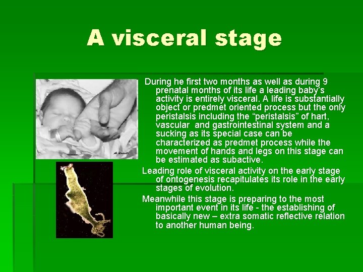 A visceral stage During he first two months as well as during 9 prenatal