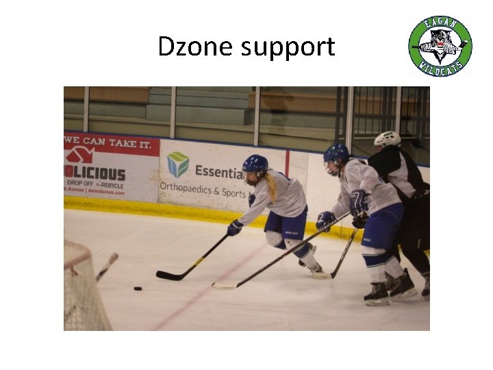 Dzone support 