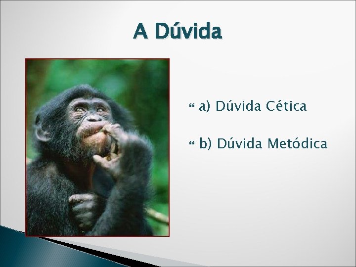 A Dúvida a) Dúvida Cética b) Dúvida Metódica 