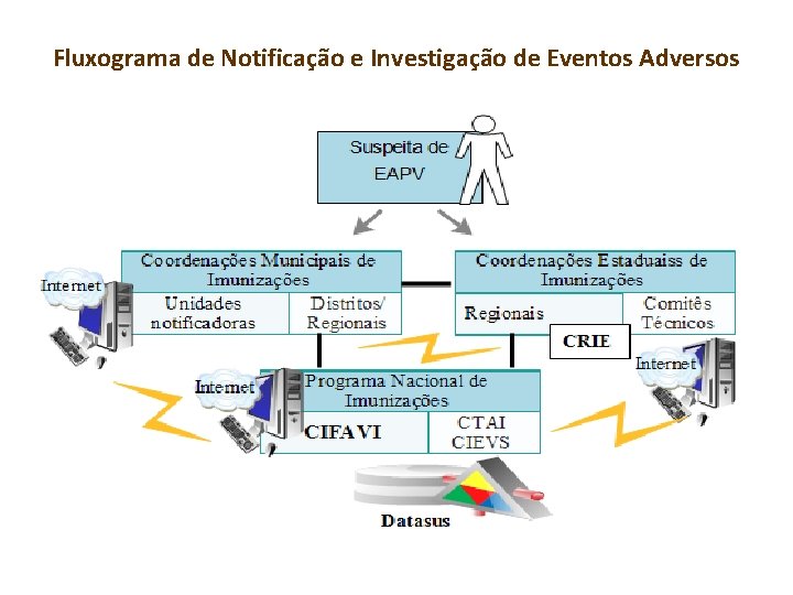 Fluxograma de Notificação e Investigação de Eventos Adversos 