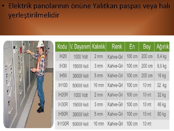  • Elektrik panolarının önüne Yalıtkan paspas veya halı yerleştirilmelidir 