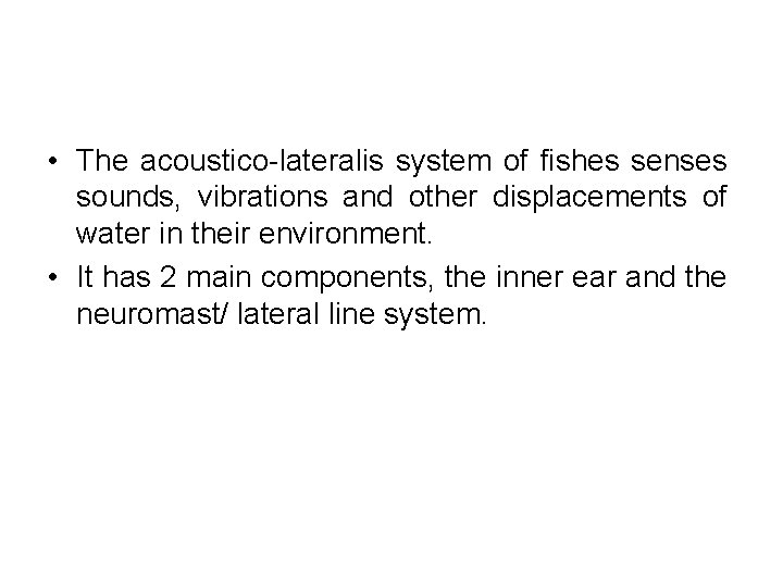  • The acoustico-lateralis system of fishes senses sounds, vibrations and other displacements of
