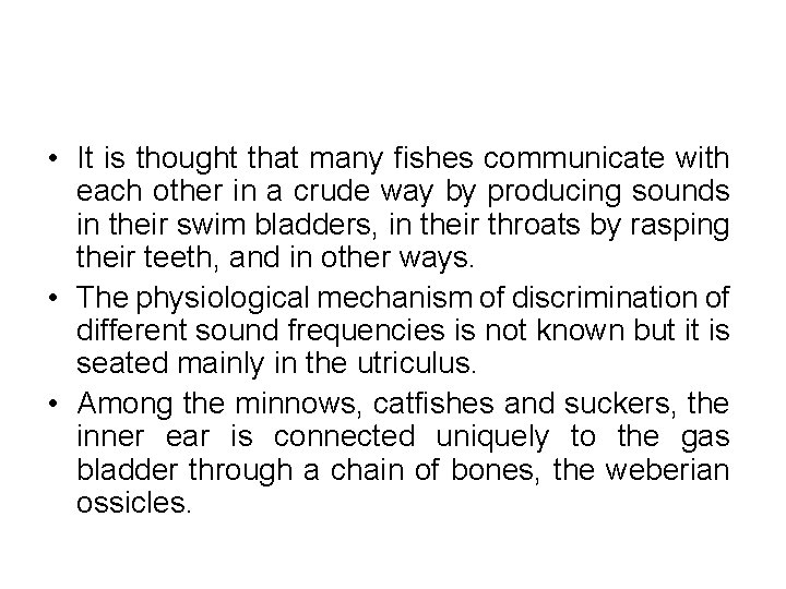  • It is thought that many fishes communicate with each other in a
