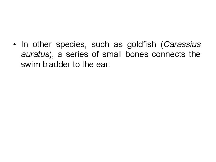  • In other species, such as goldfish (Carassius auratus), a series of small