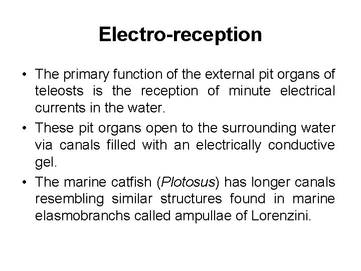 Electro-reception • The primary function of the external pit organs of teleosts is the