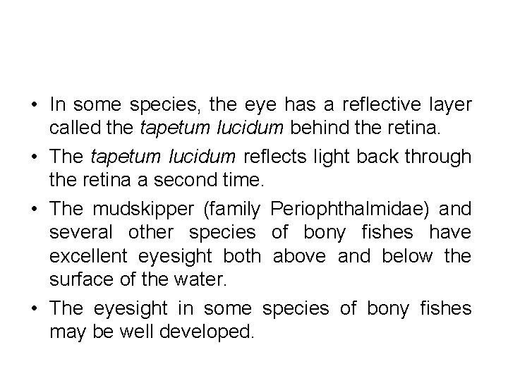  • In some species, the eye has a reflective layer called the tapetum