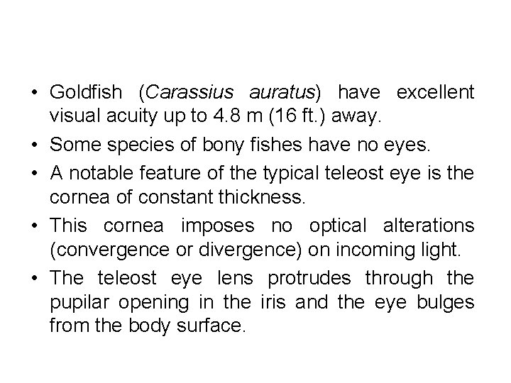  • Goldfish (Carassius auratus) have excellent visual acuity up to 4. 8 m
