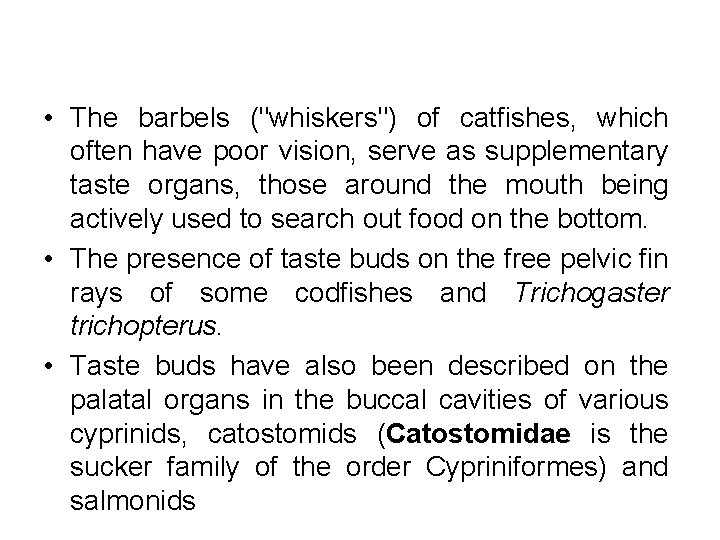  • The barbels ("whiskers") of catfishes, which often have poor vision, serve as