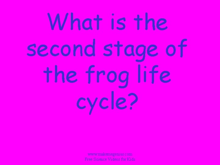 What is the second stage of the frog life cycle? www. makemegenius. com Free