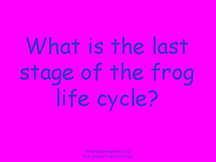 What is the last stage of the frog life cycle? www. makemegenius. com Free