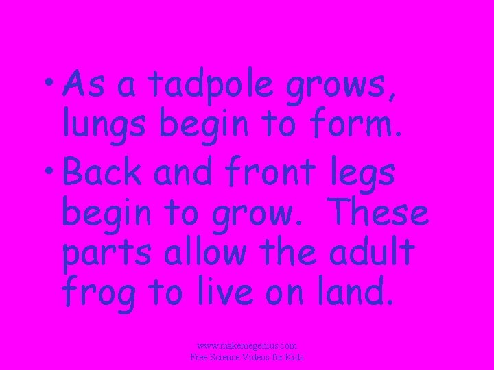  • As a tadpole grows, lungs begin to form. • Back and front