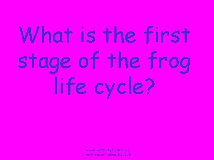 What is the first stage of the frog life cycle? www. makemegenius. com Free