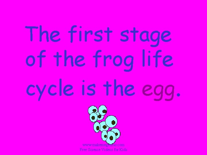 The first stage of the frog life cycle is the egg. www. makemegenius. com