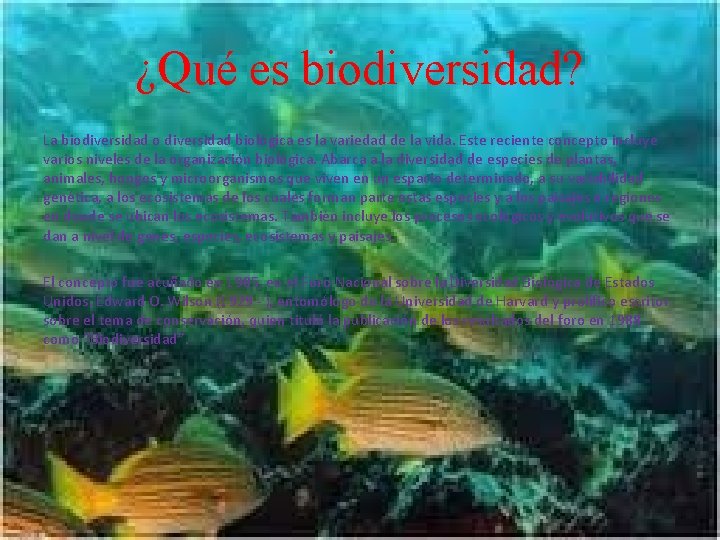 ¿Qué es biodiversidad? La biodiversidad o diversidad biológica es la variedad de la vida.