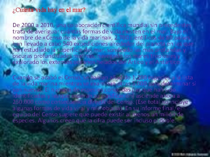 ¿Cuánta vida hay en el mar? De 2000 a 2010, una colaboración científica mundial