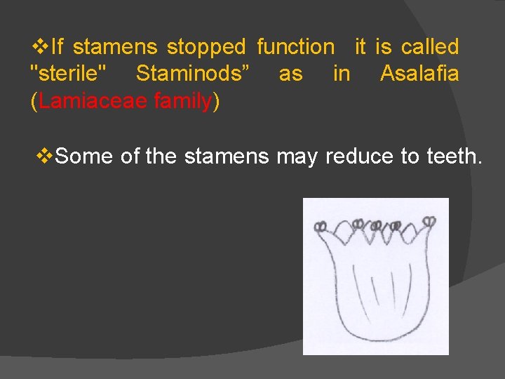 v. If stamens stopped function it is called "sterile" Staminods” as in Asalafia (Lamiaceae