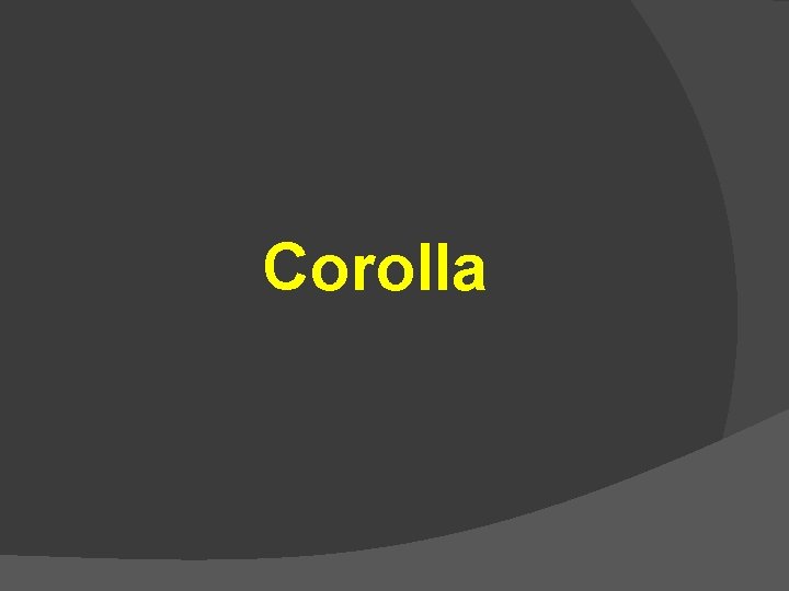 Corolla 