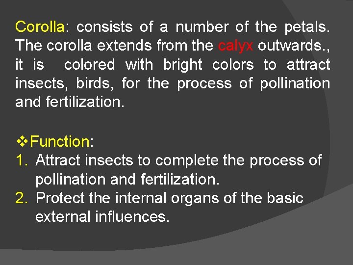 Corolla: consists of a number of the petals. The corolla extends from the calyx