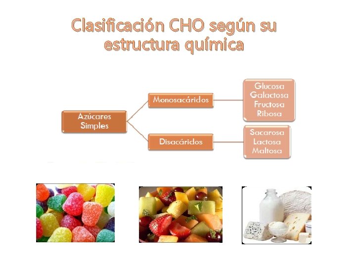 Clasificación CHO según su estructura química 