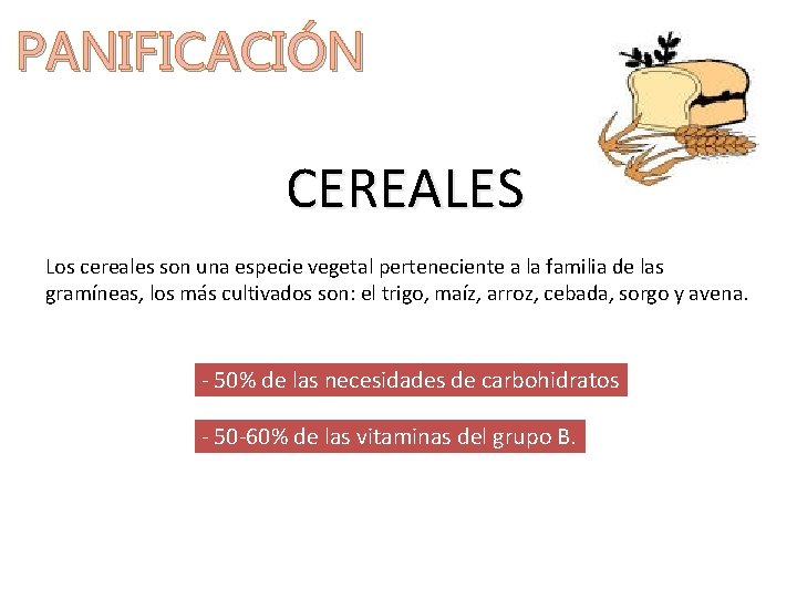 PANIFICACIÓN CEREALES Los cereales son una especie vegetal perteneciente a la familia de las