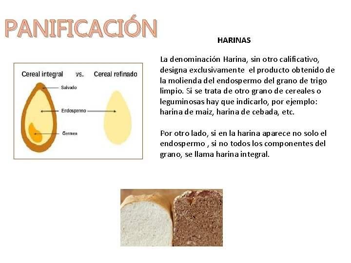 PANIFICACIÓN HARINAS La denominación Harina, sin otro calificativo, designa exclusivamente el producto obtenido de