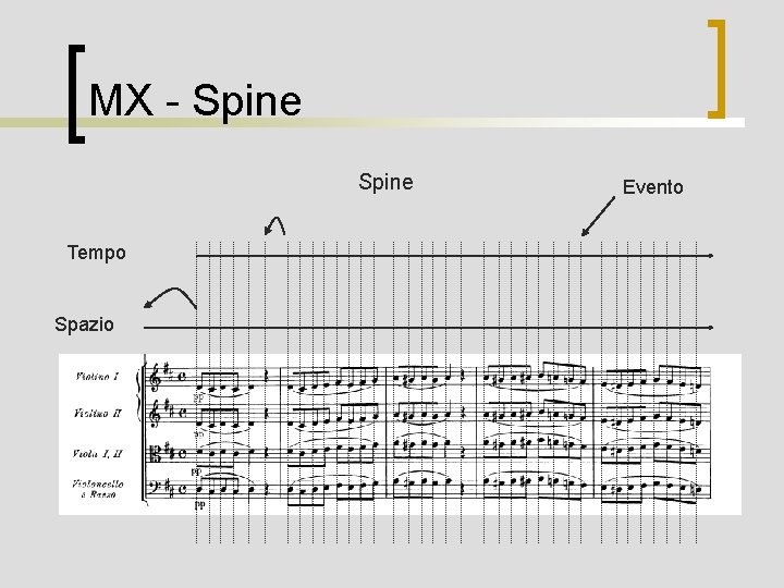MX - Spine Tempo Spazio Evento 