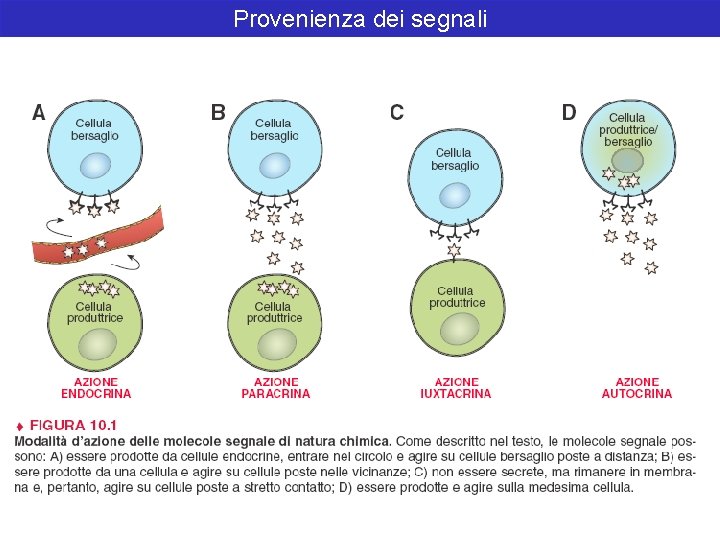 Provenienza dei segnali 