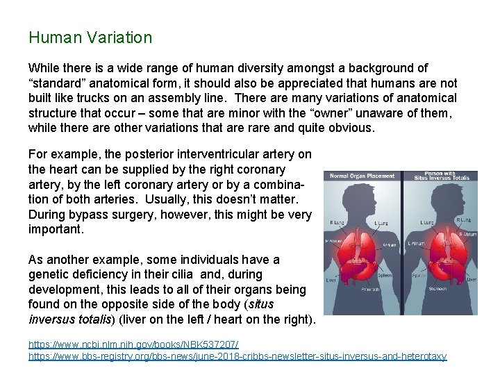 Human Variation While there is a wide range of human diversity amongst a background