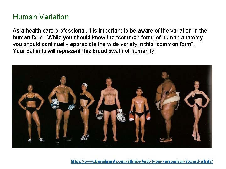 Human Variation As a health care professional, it is important to be aware of