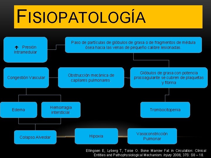 FISIOPATOLOGÍA Paso de partículas de glóbulos de grasa o de fragmentos de médula ósea