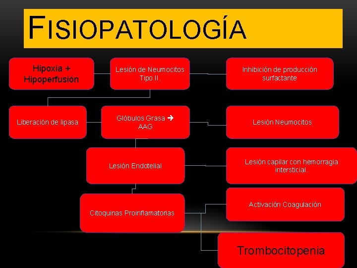 FISIOPATOLOGÍA Hipoxia + Hipoperfusión Liberación de lipasa Lesión de Neumocitos Tipo II. Glóbulos Grasa