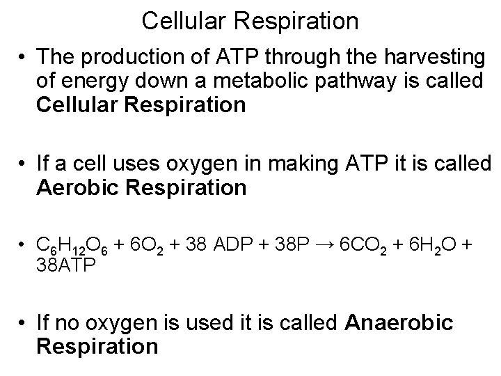 Cellular Respiration • The production of ATP through the harvesting of energy down a