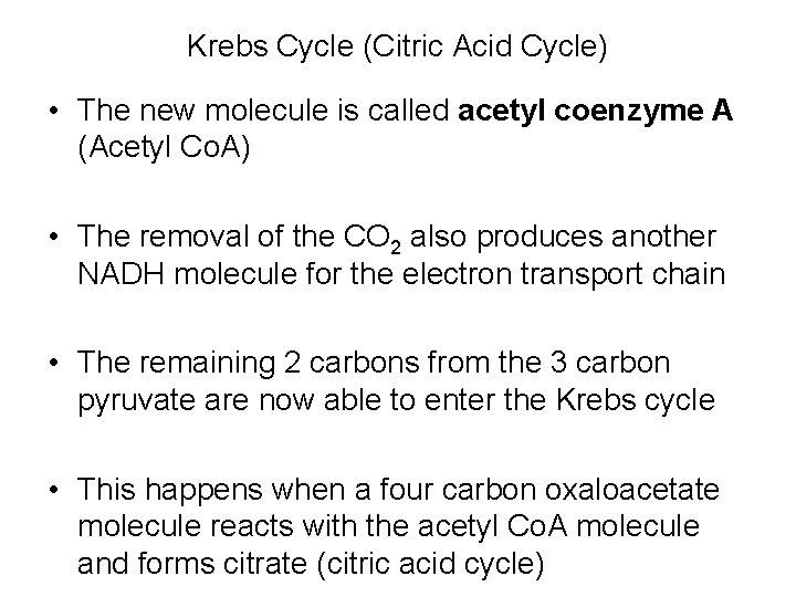 Krebs Cycle (Citric Acid Cycle) • The new molecule is called acetyl coenzyme A