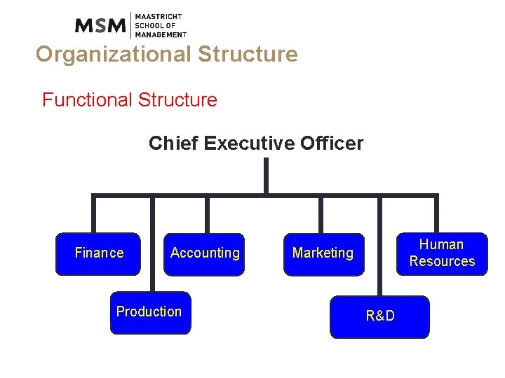 Organizational Structure Functional Structure Chief Executive Officer Finance Accounting Production Human Resources Marketing R&D