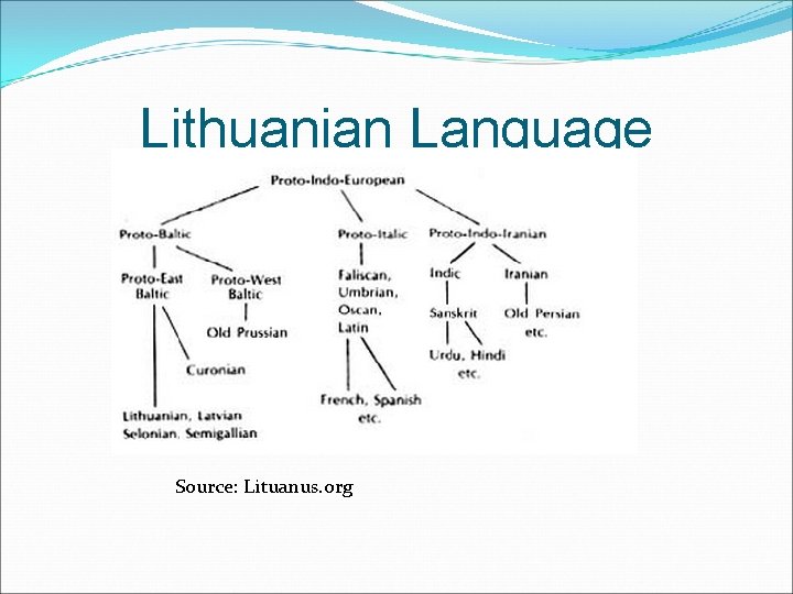 Lithuanian Language Source: Lituanus. org 