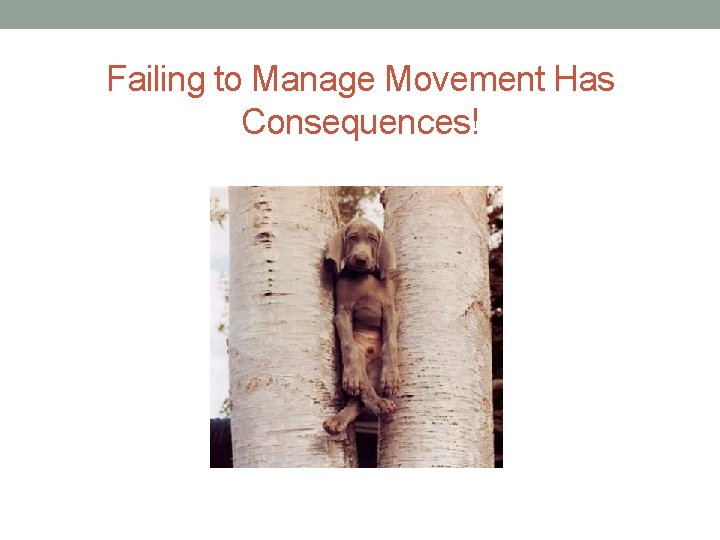 Failing to Manage Movement Has Consequences! 