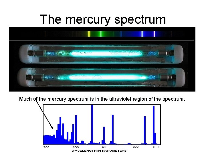 The mercury spectrum Much of the mercury spectrum is in the ultraviolet region of