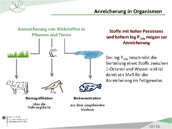 Anreicherung in Organismen Annreicherung von Wirkstoffen in Pflanzen und Tieren Stoffe mit hoher Persistenz