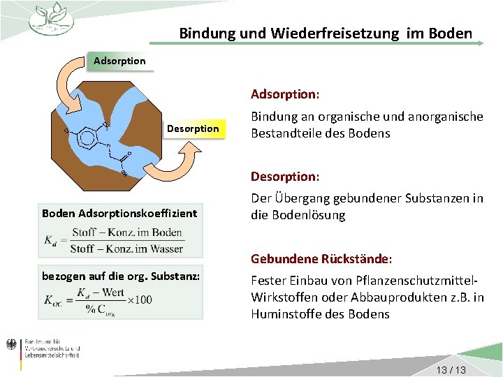 Bindung und Wiederfreisetzung im Boden Adsorption: Desorption Bindung an organische und anorganische Bestandteile des