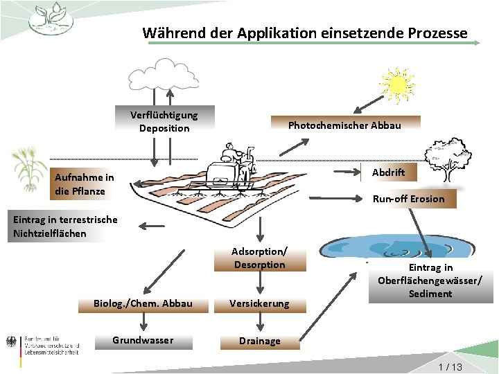 Während der Applikation einsetzende Prozesse Verflüchtigung Deposition Photochemischer Abbau Abdrift Aufnahme in die Pflanze