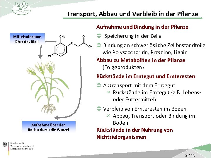 Transport, Abbau und Verbleib in der Pflanze Aufnahme und Bindung in der Pflanze Mittelaufnahme