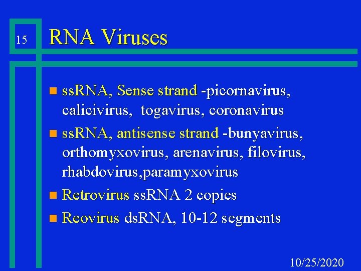 15 RNA Viruses ss. RNA, Sense strand -picornavirus, calicivirus, togavirus, coronavirus n ss. RNA,