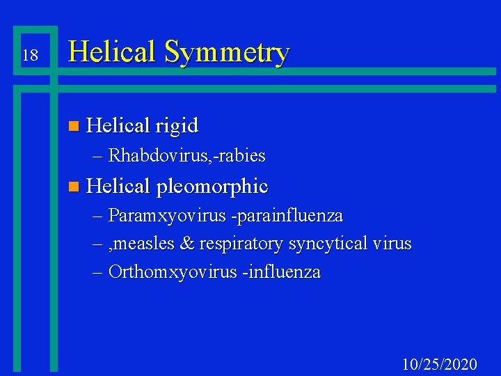 18 Helical Symmetry n Helical rigid – Rhabdovirus, -rabies n Helical pleomorphic – Paramxyovirus