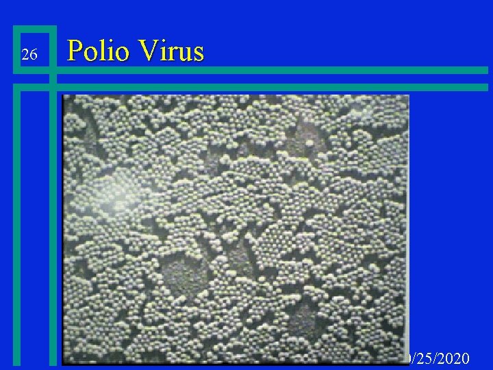 26 Polio Virus 10/25/2020 